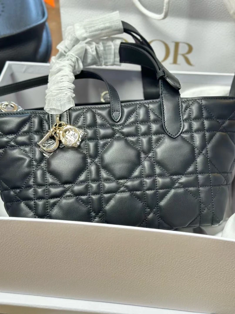 dior高仿 購物袋 (1)