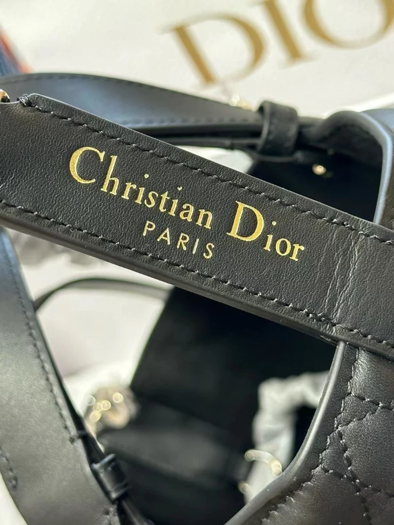 dior高仿 購物袋 (6)