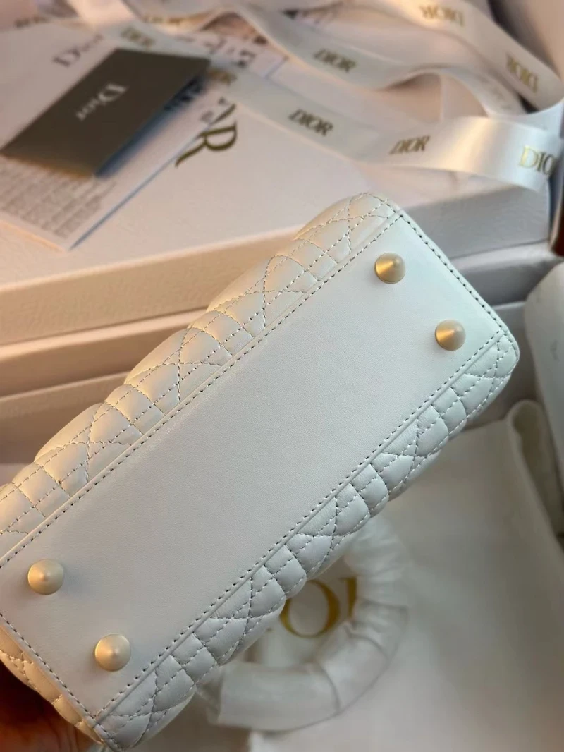 dior戴妃包 (6)