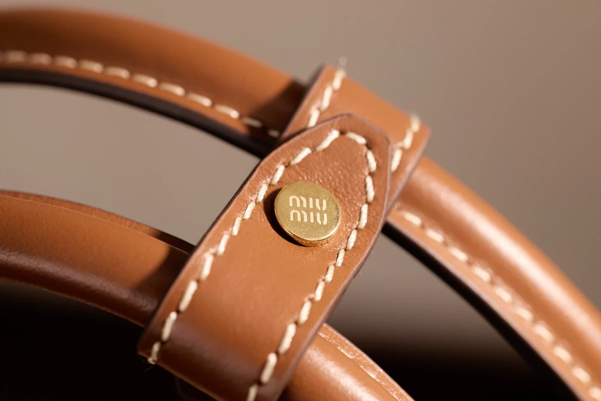 高仿miumiu 白蘭地色 中號 (9)