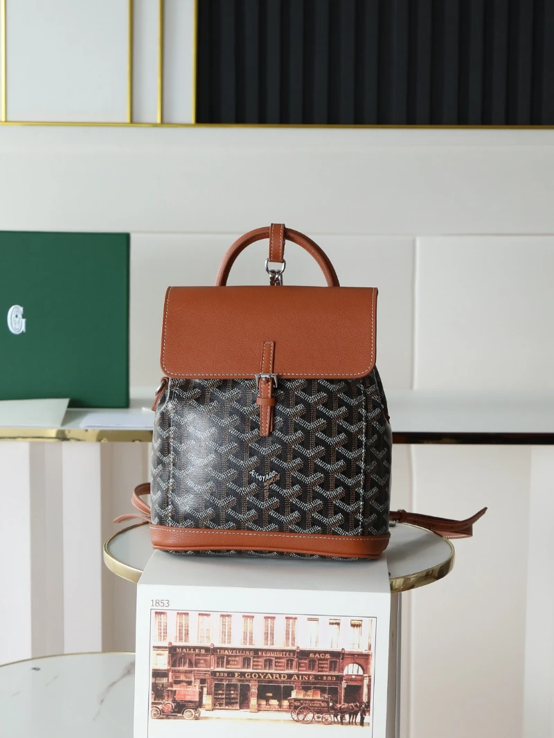 高仿goyard aln 棕色 (2)