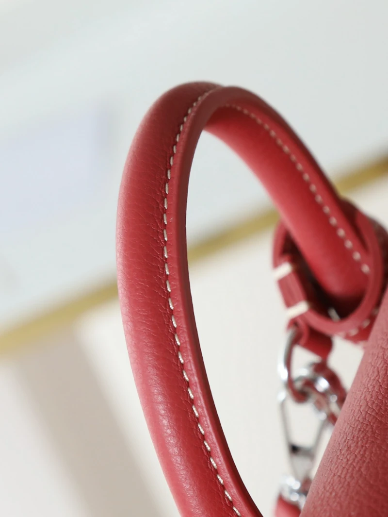 高仿goyard aln 紅色 (2)