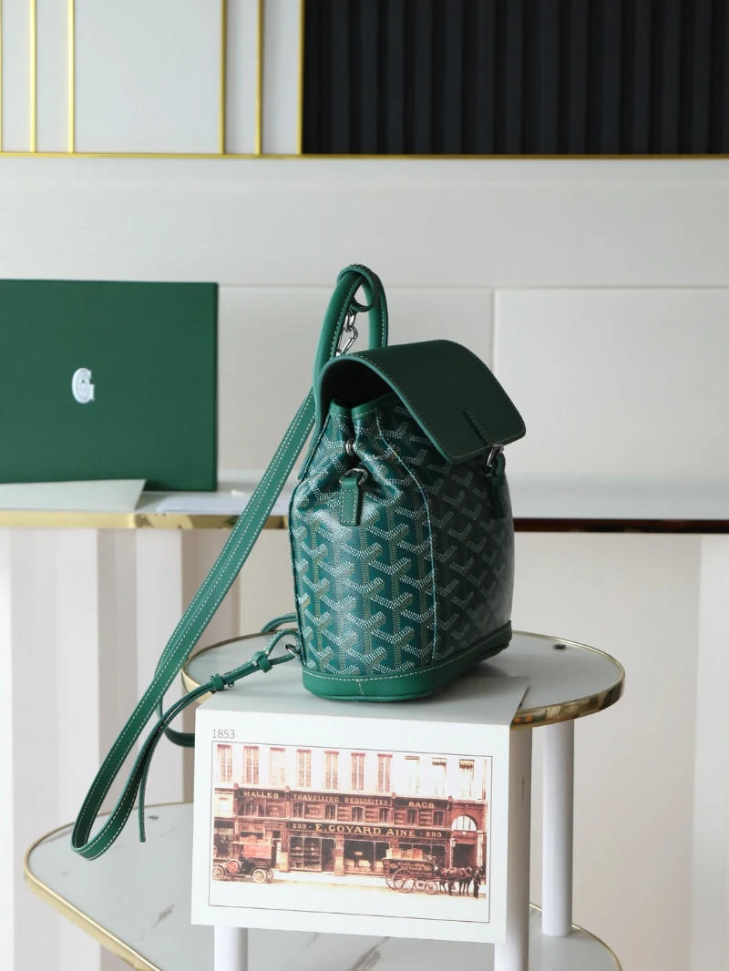 高仿goyard aln 綠色 (2)