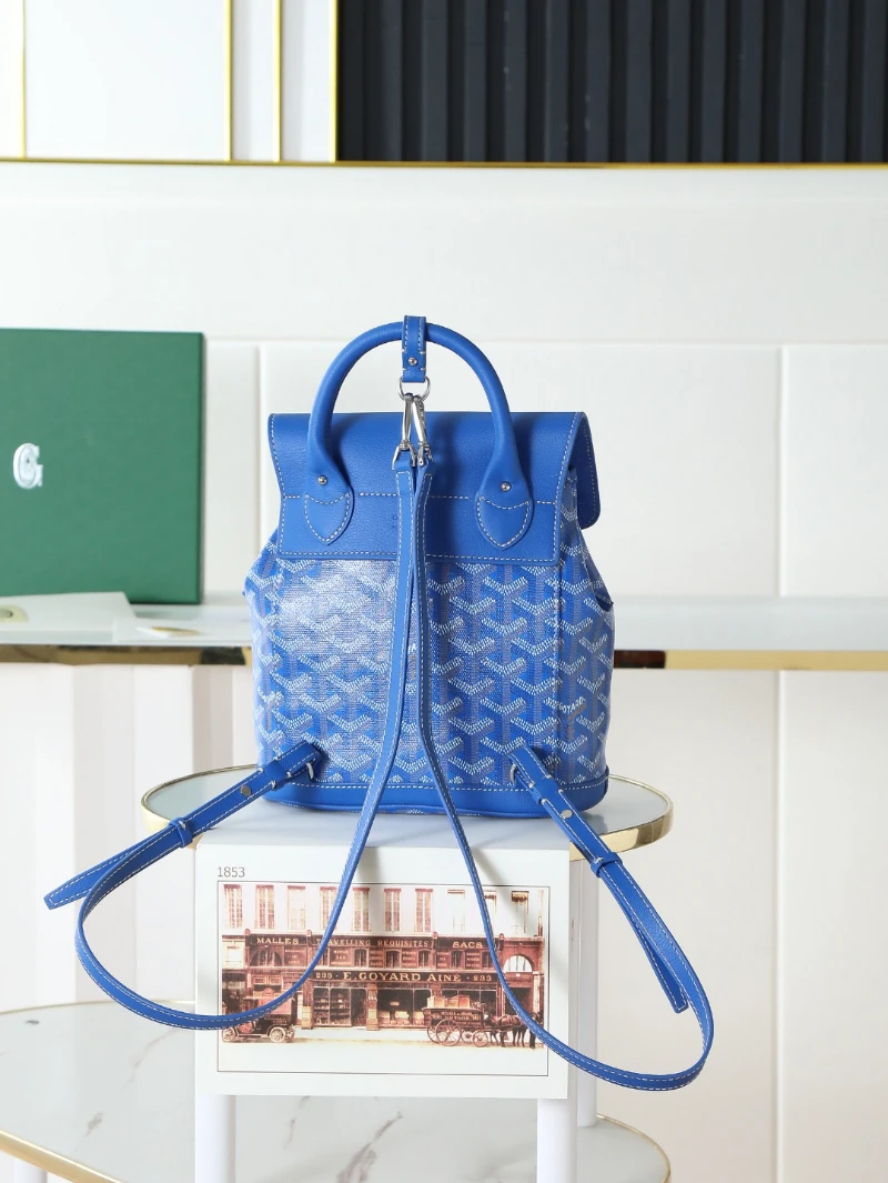 高仿goyard aln 迷霧藍 (3)